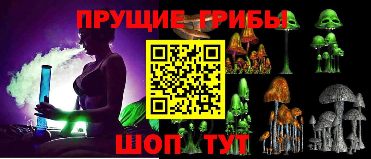 Псилоцибиновые грибы Psilocybe  Вход с VPN  Котельники  Галлюциногенные грибы GOLDEN TEACHER 
