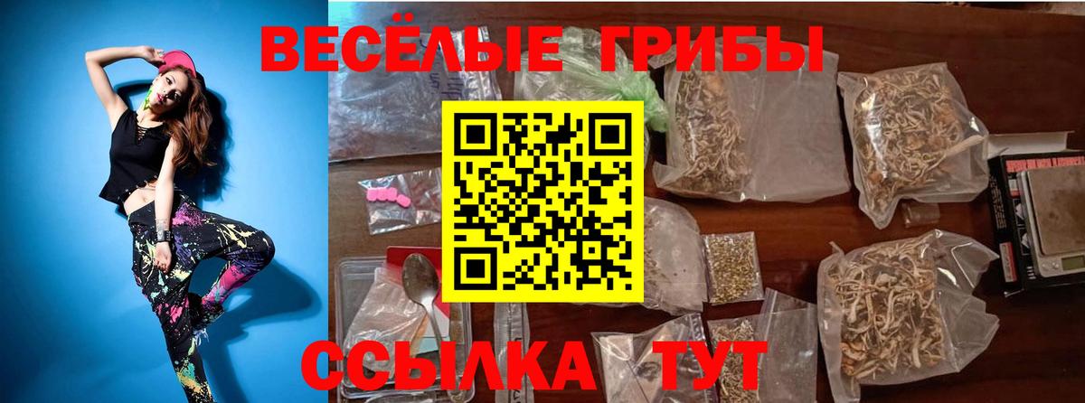 Псилоцибиновые грибы Psilocybe Котельники